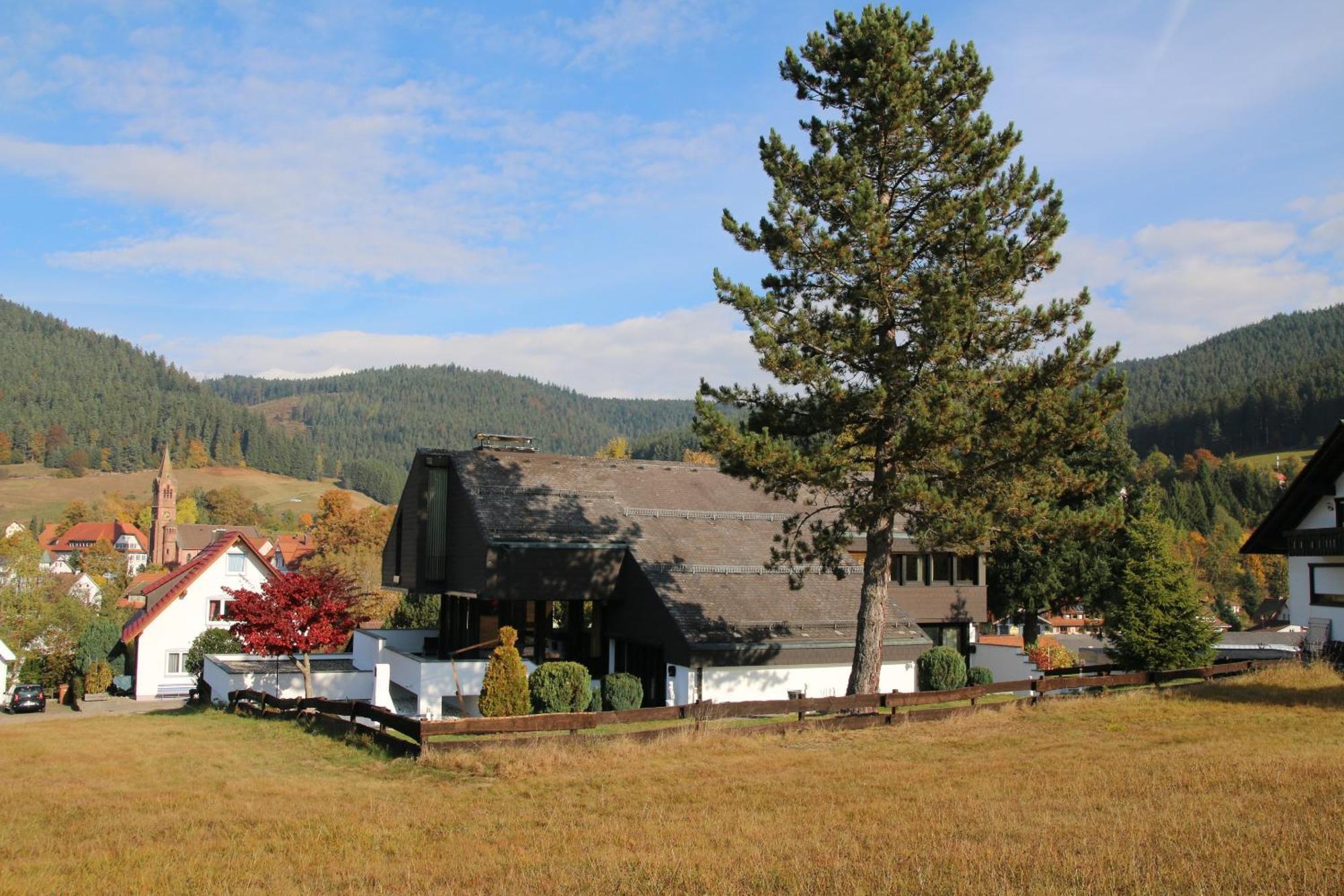 Luxus-Landhaus Im Schwarzwald/Baiersbronn Mit Pool Villa Exteriör bild