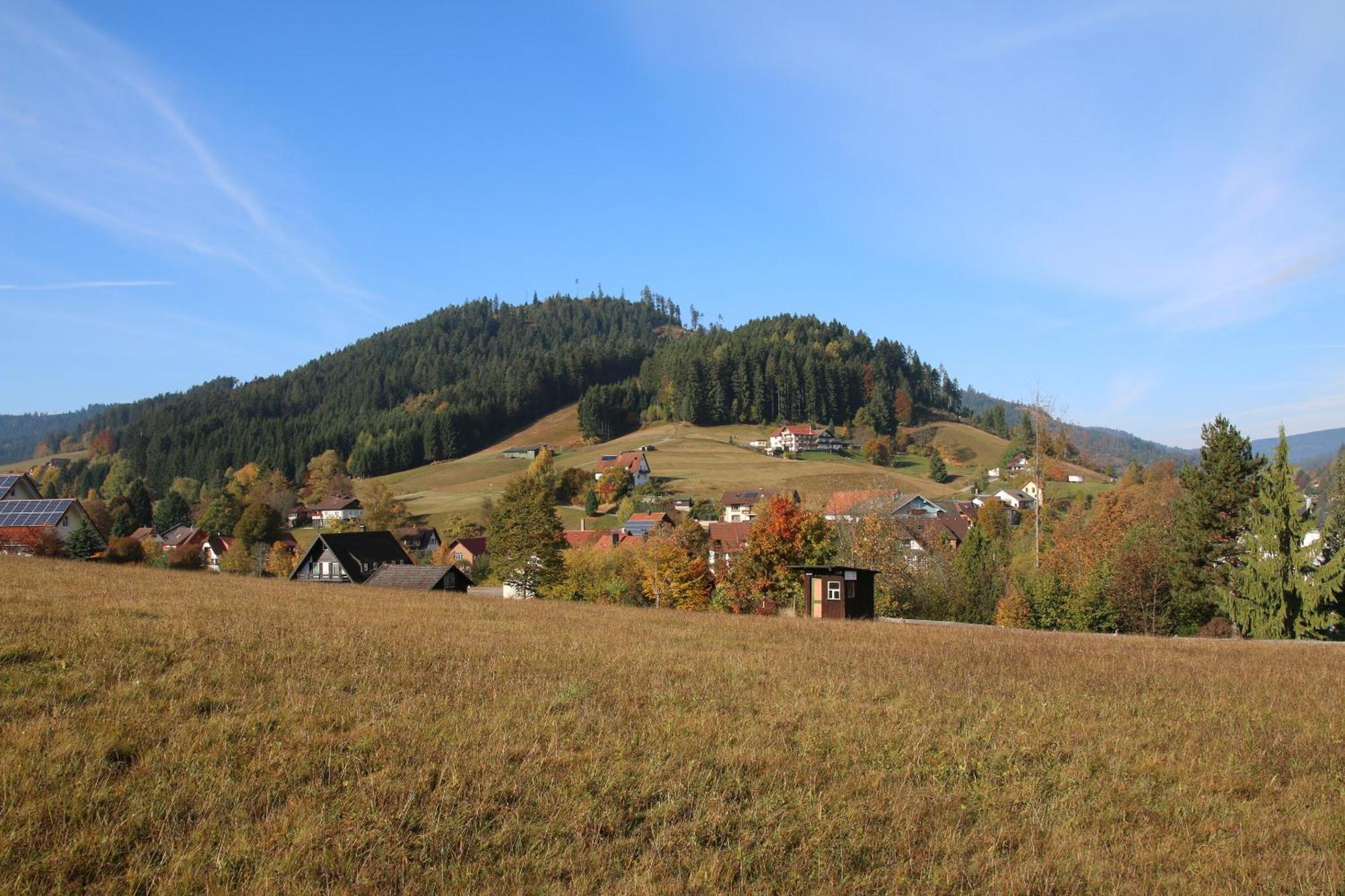 Luxus-Landhaus Im Schwarzwald/Baiersbronn Mit Pool Villa Exteriör bild